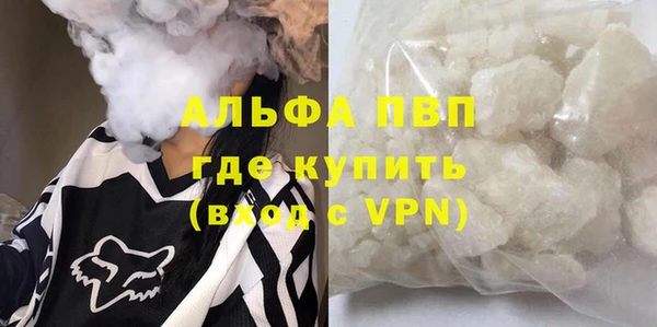 СК Белокуриха