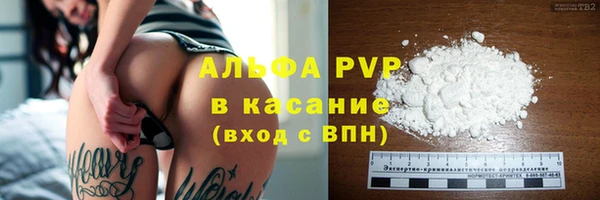 СК Белокуриха